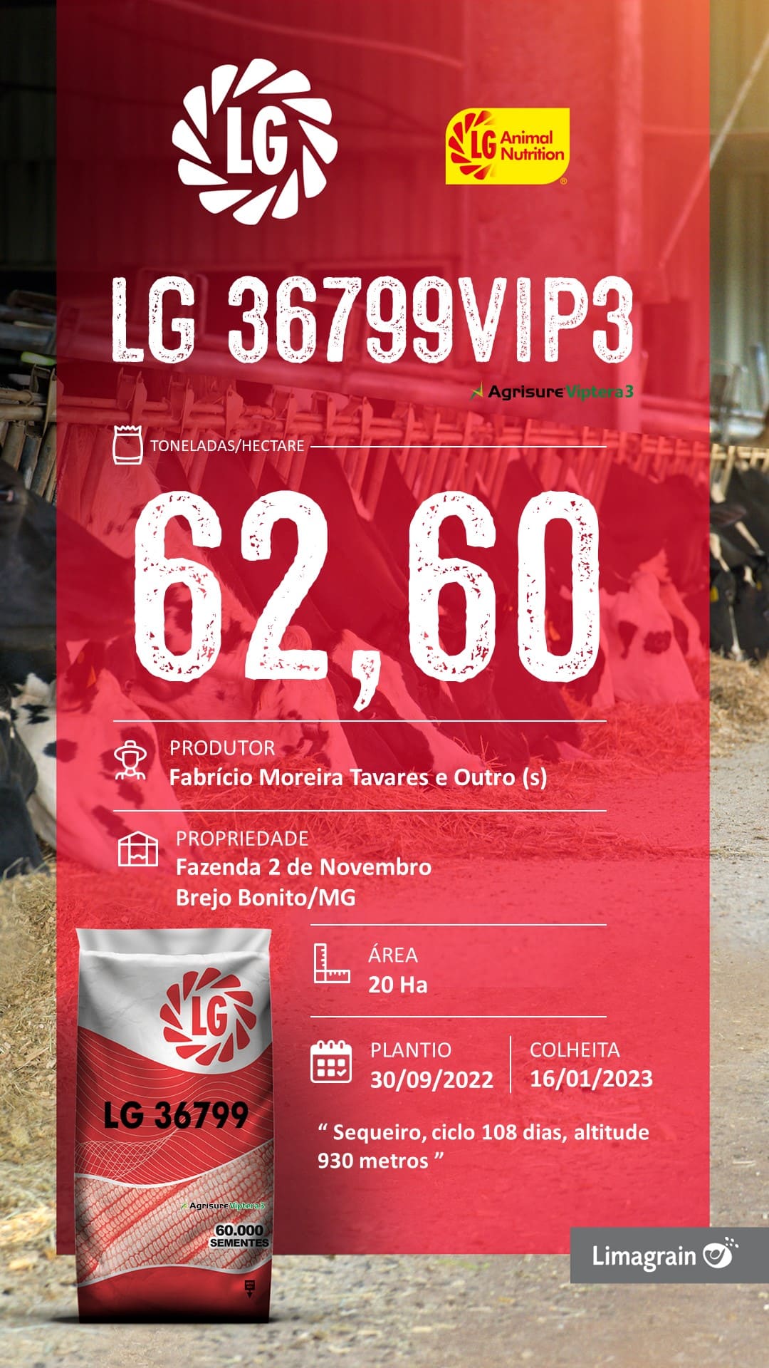 FABRICIO LG 36799VIP3